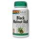 BLACK WALNUT HULL (NOGAL NEGRO)